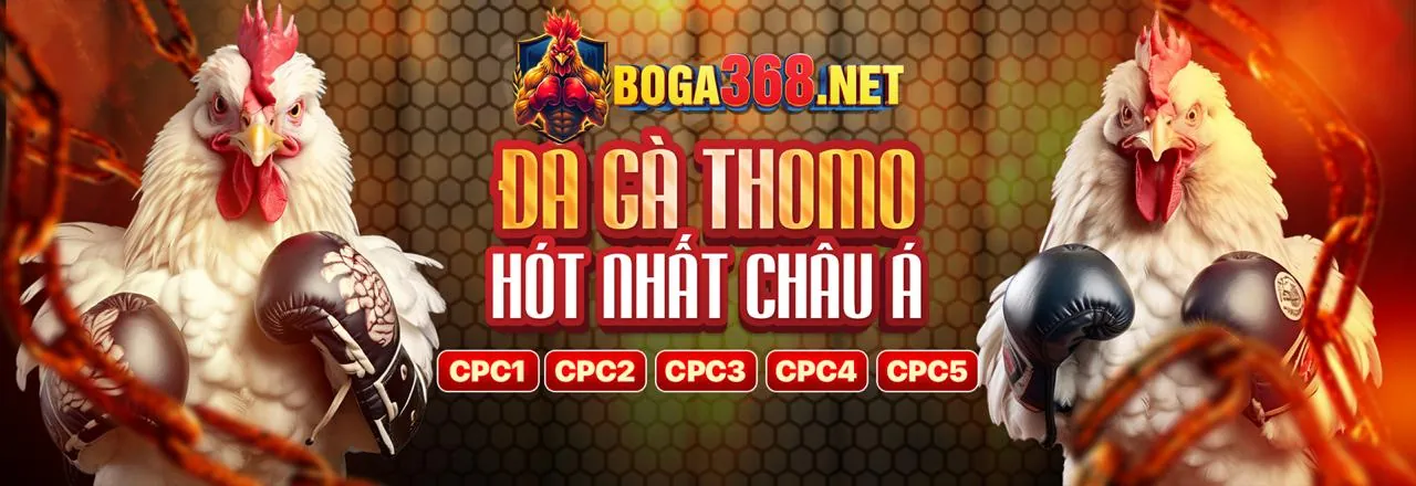 Đá gà trực tuyến 88tr88